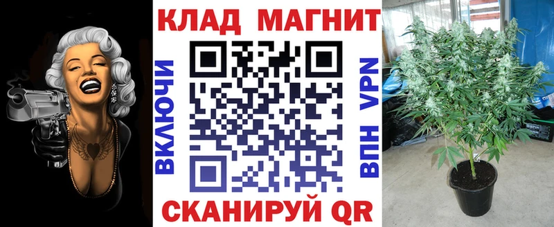 Alpha PVP Елизово