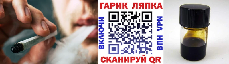 ГАШ гарик  что такое   Елизово 