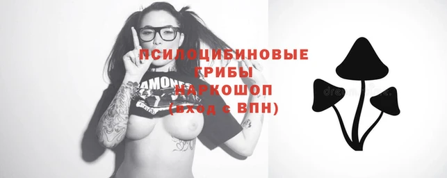 mdpv Абинск