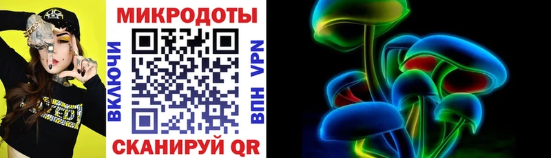 Галлюциногенные грибы Psilocybe Елизово